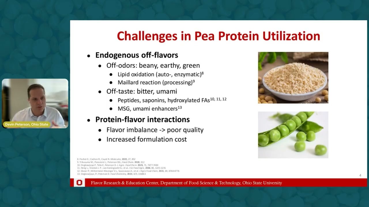 2. Unpacking the Complex Nature of Flavour Chemistry in Pea