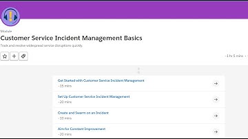Customer Service Incident Management Basics.#salesforce #journeytosalesforce