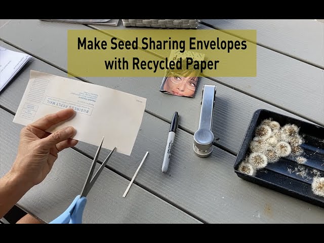 DIY Recycled Paper Seed Envelopes - Woodlark Blog