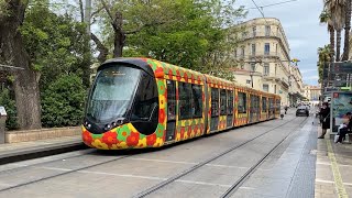 La TAM et son tram