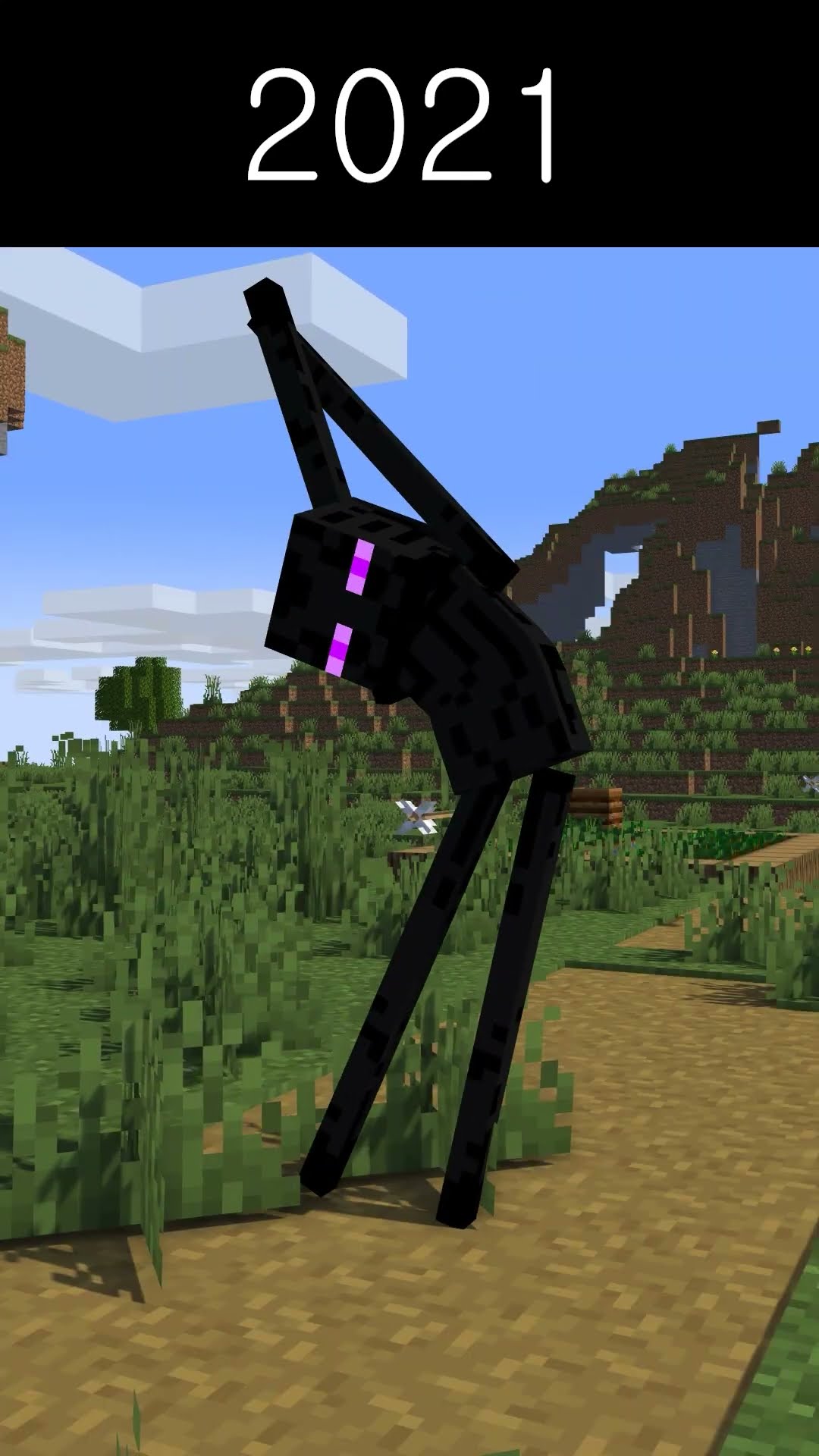 A Day At The Beach | Enderman Story