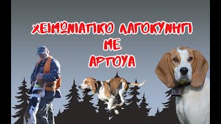 ΧΕΙΜΩΝΙΑΤΙΚΟ ΛΑΓΟΚΥΝΗΓΙ ΜΕ ΑΡΤΟΥΑ