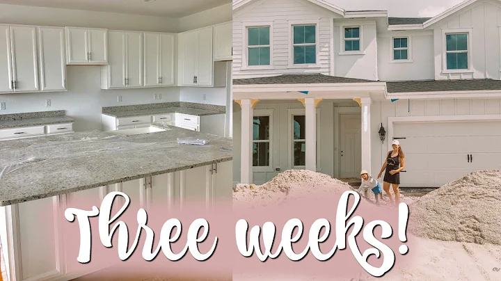 COUNTDOWN TO NEW HOUSE - 3 WEEKS FROM CLOSING / Ho...