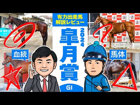 【皐月賞 2024】桜花賞は7人気3着のライトバックを推奨！76年ぶり牝馬の勝利なるか！？馬体vs血統 出走馬解説レビュー【競馬 予想】