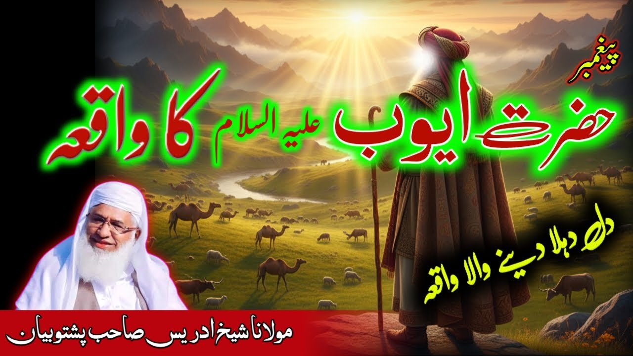 Prophet Hazrat Ayub a.s ka Waqia In Pashto | Maulana sheikh idrees Bayan