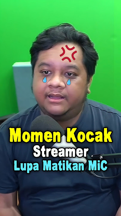 Momen Streamer Lupa matikan Mic