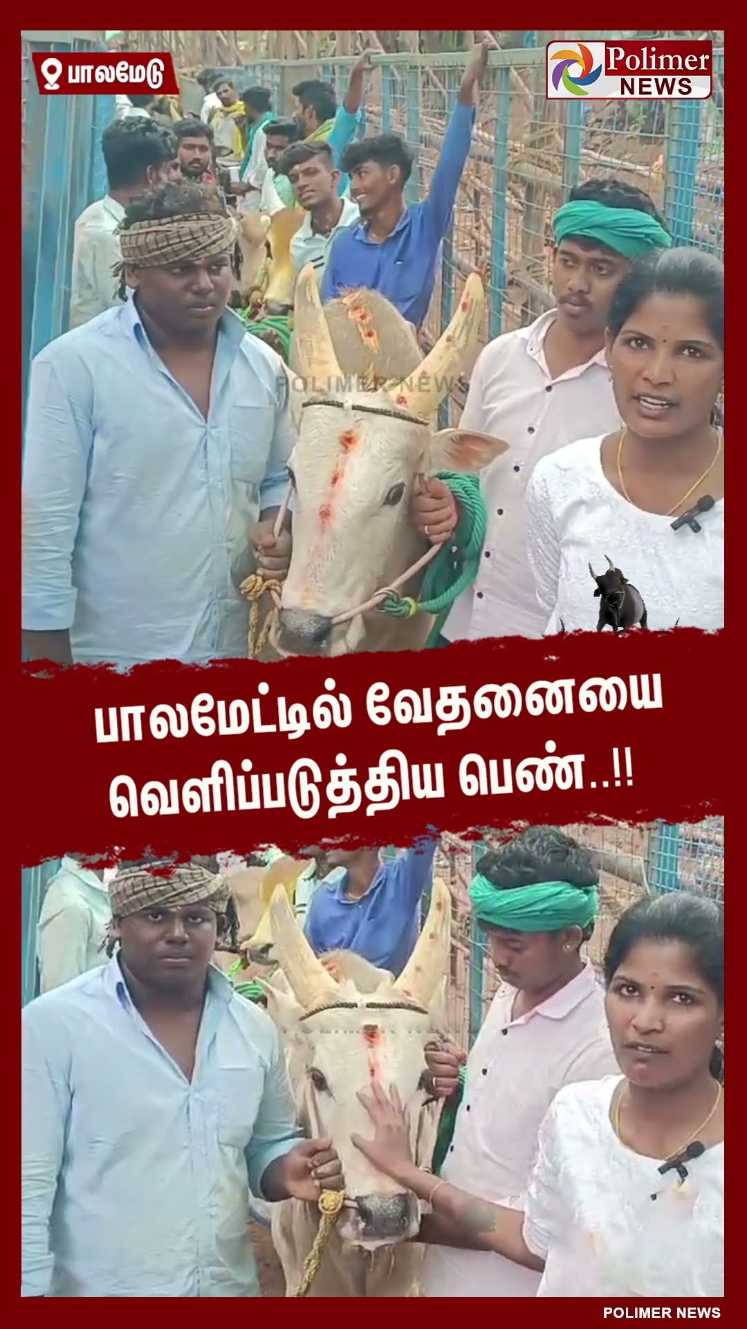 பாலமேட்டில் வேதனையை வெளிப்படுத்திய பெண்..#shorts | #palamedujallikattu