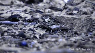 Dark-J - Broken Magic (Industrial Dub-Step) Dark-J - Broken Magic (Industrial Dub-Step)