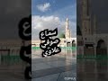 سماع صوفي علاوي من ساحة مسجد سيدنا رسول الله صلى الله عليه وسلم 2