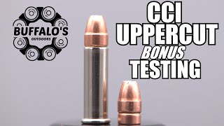 CCI UPPERCUT .22lr Self Defense JHP ~ BONUS TESTING