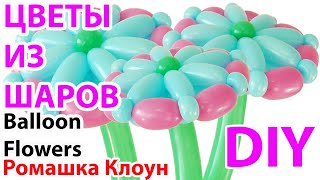 ЦВЕТЫ ИЗ ШАРОВ фигурки из шариков Balloon Flower TUTORIAL flores con globos #РомашкаКлоун