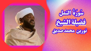القرآن الكريم - تلاوات مختارة - سورة النَّمْل