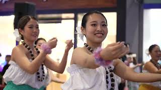 【2026】ハワイ州で心踊る音楽フェス。海風とともに味わう特別な生演奏