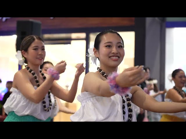 Honolulu Festival