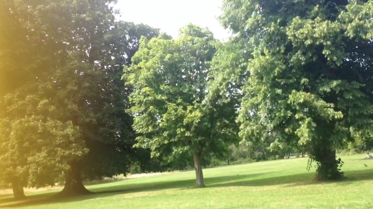 Beddington Park (Carew Manor and church side) 18 July 2017 - YouTube