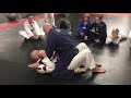 BJJ Fundamentals- Mount escapes- Dealing with crossface 2