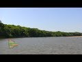 Goma, castaña, madera y pesca en la Amazonía boliviana