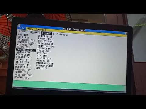 Destroying Windows 1.01