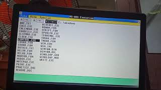 Destroying Windows 1.01