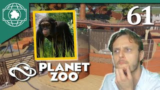 Simposer aux chimpanzés - PLANET ZOO 61 - AkiTycoon - Lets Play PC Fr