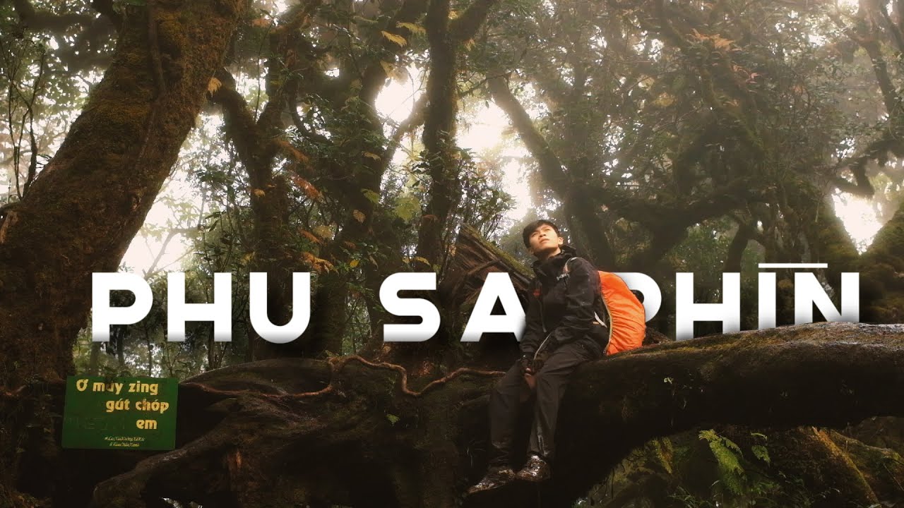 Vlog #10: Lả lướt leo Tà Xùa - Mình trek Phu Sa Phìn (2868m)