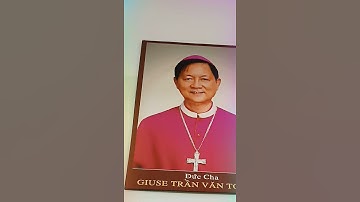 Dâng Mẹ Maria, Giáo Phận Long Xuyên chúng con,#shorts