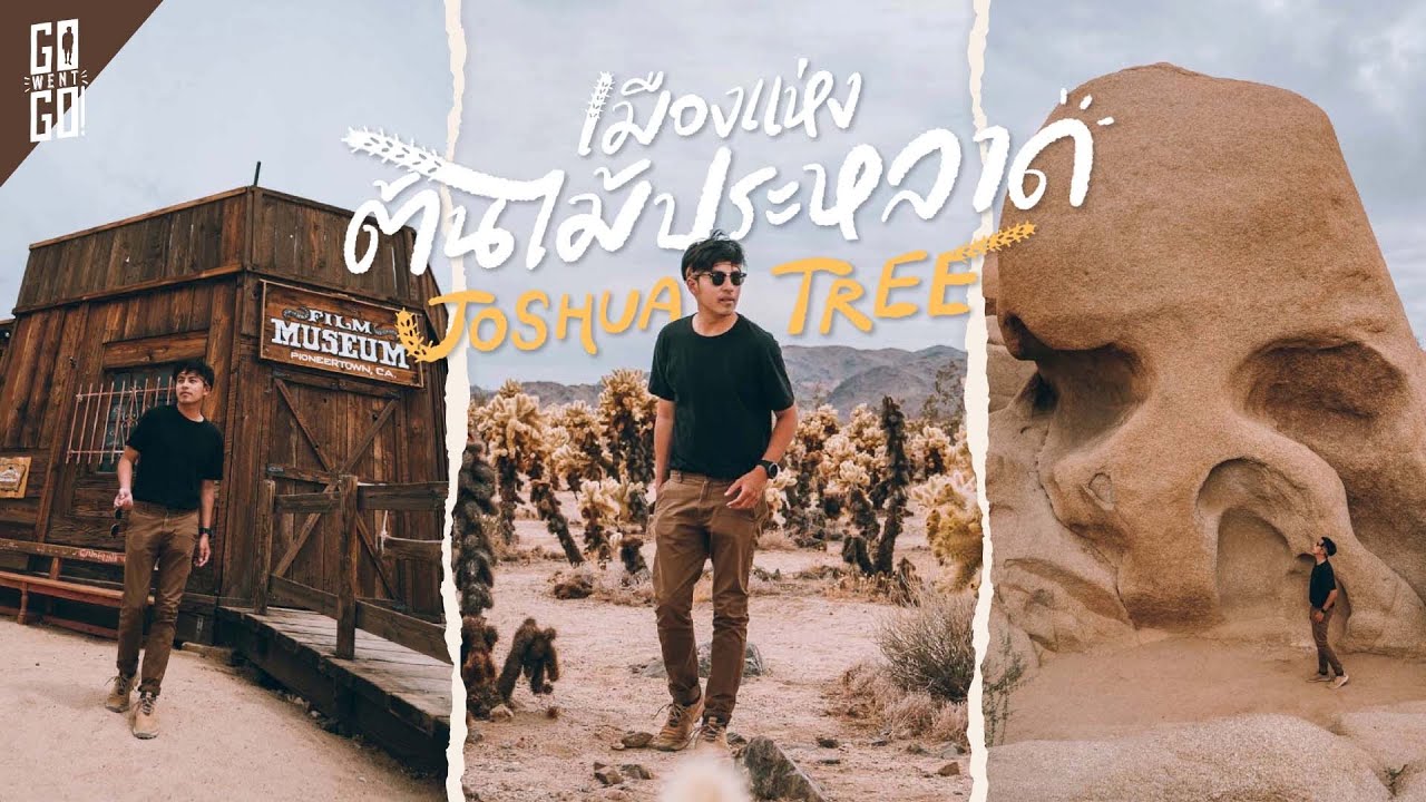 Joshua Tree เมืองและอุทยานแห่งชาติที่มองไปทางไหนก็มีแต่ต้นกระบองเพชร  | 🇺🇲 VLOG | Gowentgo