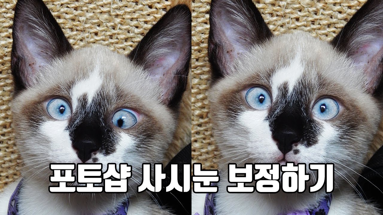 사시눈보정하기 포토샵  cross eye photoshop
