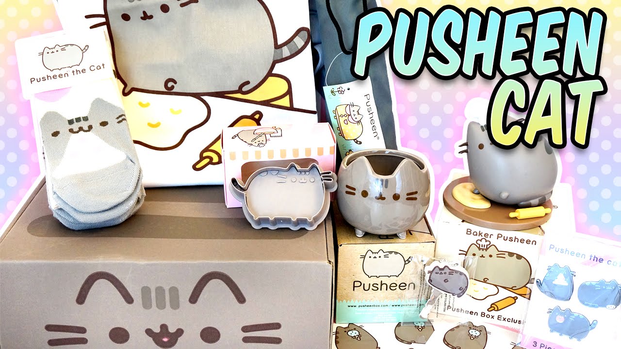  Pusheen  Cat  Box  April 2021 Kawaii Subscription Box  