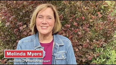 Planting and Protecting Spring Flowering Bulbs with Plantskydd® Animal Repellent