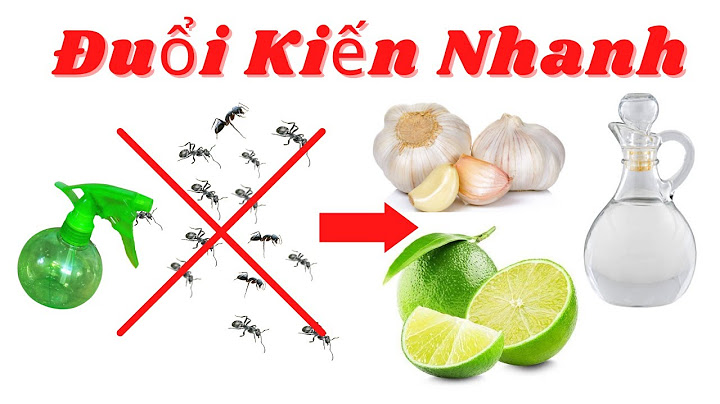 Cách đuổi kiến lửa