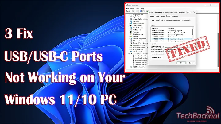 How To Fix USB/USB-C Ports Not Working on Your Windows 11/10 PC [Solution]
