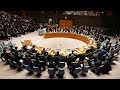 Reunión del Consejo de Seguridad de la ONU sobre la situación en Palestina