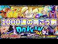 LR悟飯を狙ってドッカンフェス1000連の向こう側【ドッカンバトル】のサムネイル