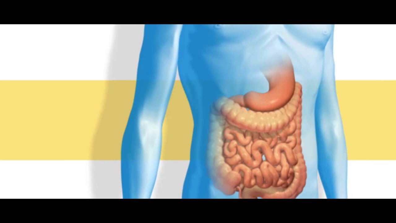 The Science Behind a Crohn's Disease Treatment