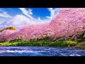 Beautiful Relaxing Music - Stop Overthinking, Stress Relief Music, Sleep Music, Calming Music #28