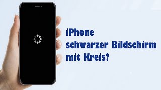 3 Tipps💡 iPhone schwarzer Bildschirm mit Kreis🔄 nach Update? So behebt es! screenshot 2