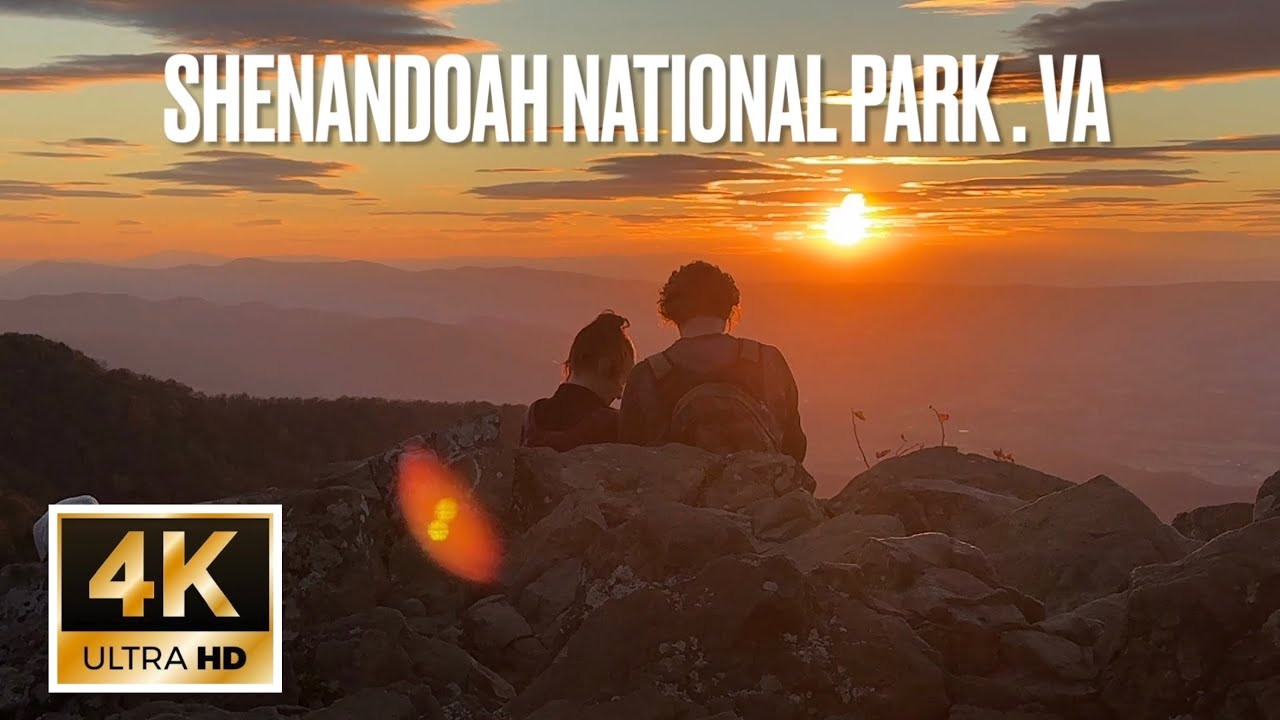 Explore Skyline Drive's scenic route and Skyland Resort's offerings in Shenandoah National Park VA