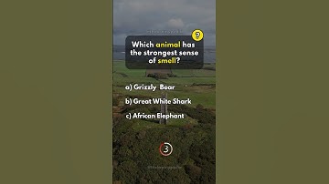 Animals Trivia Quiz Game. #quiz #quizgames #quiztime