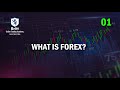 What is Forex? - 50 Sec Explanation | Britt Academy Learn Forex
