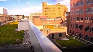 Green roofs in Allentown help keep buildings cooler