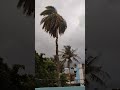 Barish sa phele ka Mausam 🌧️| Nature video 🏞️# shorts#Munger # Beautiful weather 🙂