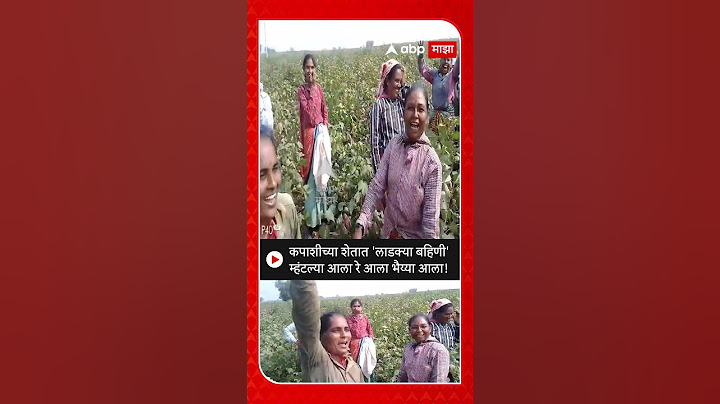 Mahayuti Winमहायुतीचा विजय, कपाशीच्या शेतात 'लाडक्या बहिणी' म्हंटल्या आला रे आला भैय्या आला!
