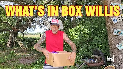 WHAT'S IN THE BOX WILLIS