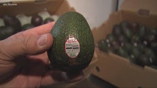 Are we really going to run out of avocados!? | VERIFY