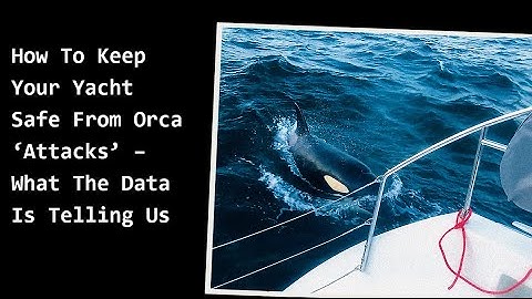 How To Keep Your Yacht Safe from Orca 