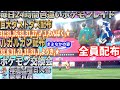 【ポケモン剣盾】巨大2画面配布　期間限定　ルガルガン　まよなかのすがた　ダストダス　配布　色違い　レイド配布　交換会　毎日24時間　6/21 Pokemon Raid Shin #239