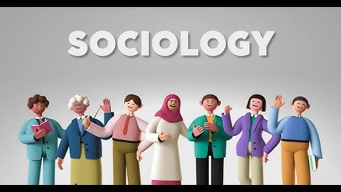 Soc 101 Video Assignment