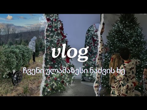 ჩვენი ულამაზესი ნაძვის ხე | ნაძვისხეების ფერმა| ვლოგი| ellenepei