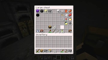 Minecraft Co-Op Ep. 5: Vechs